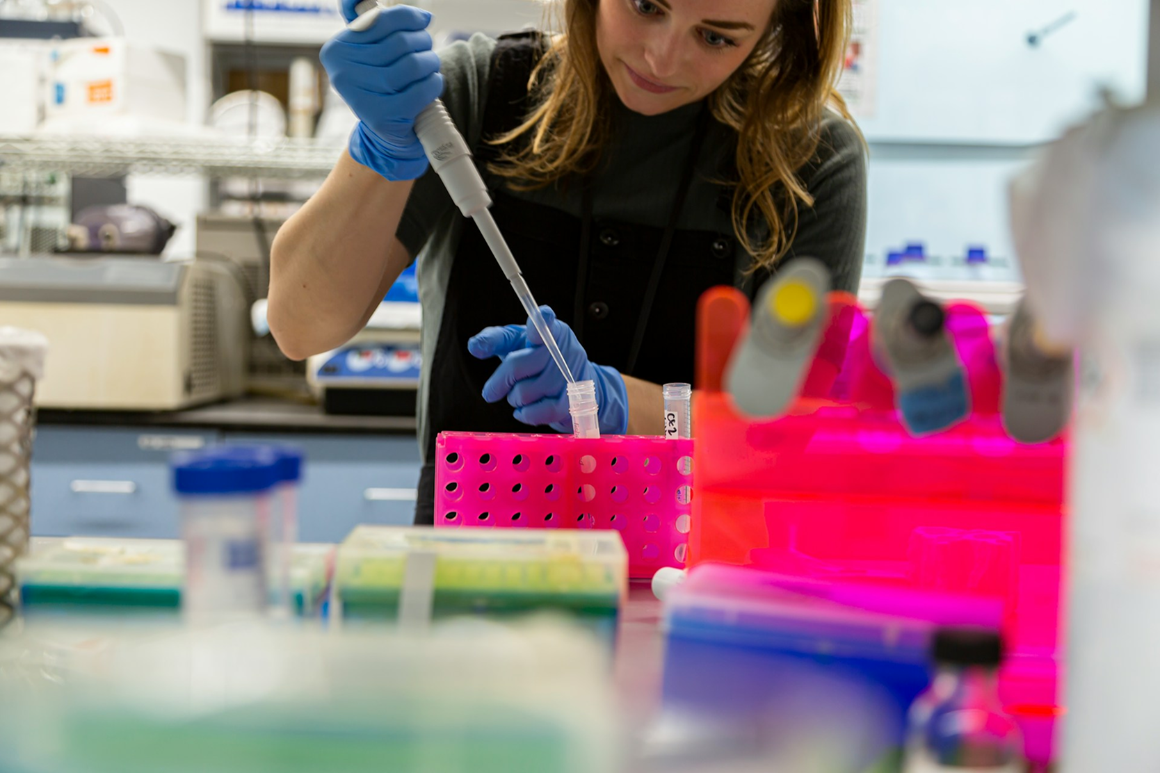 Journal lab img
