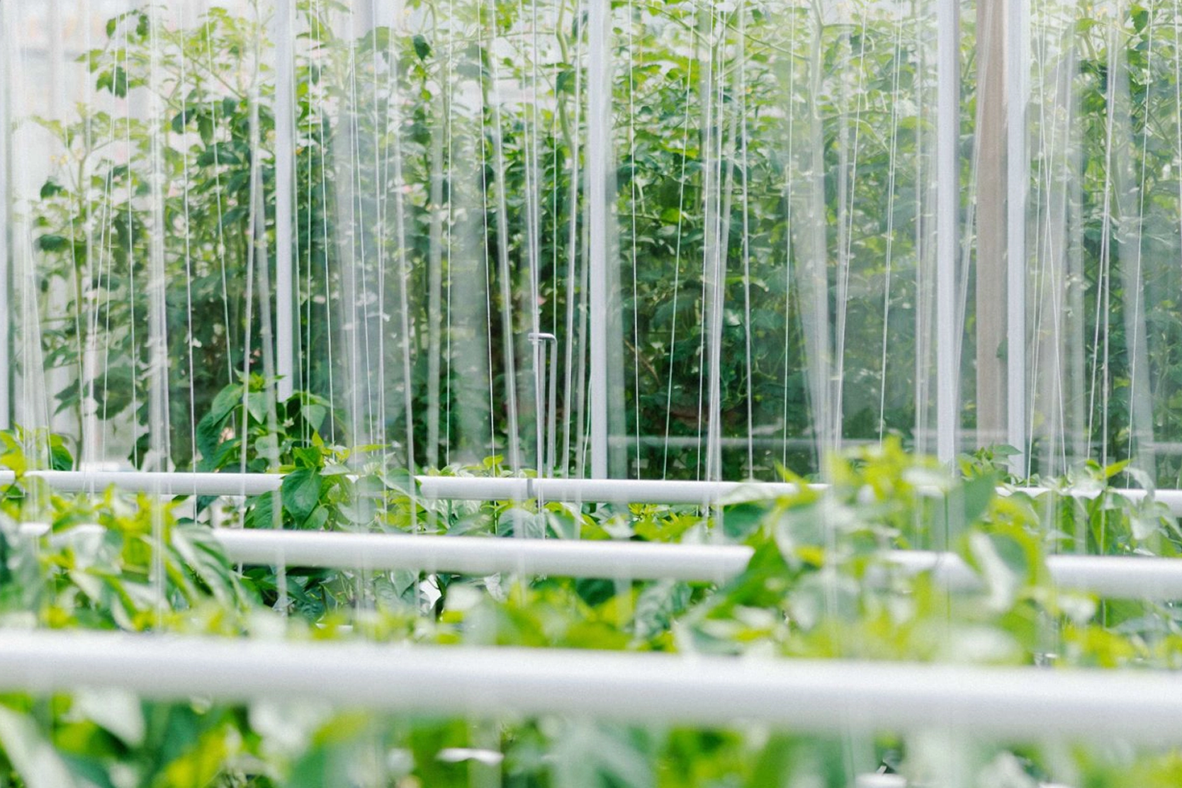 horticulture img